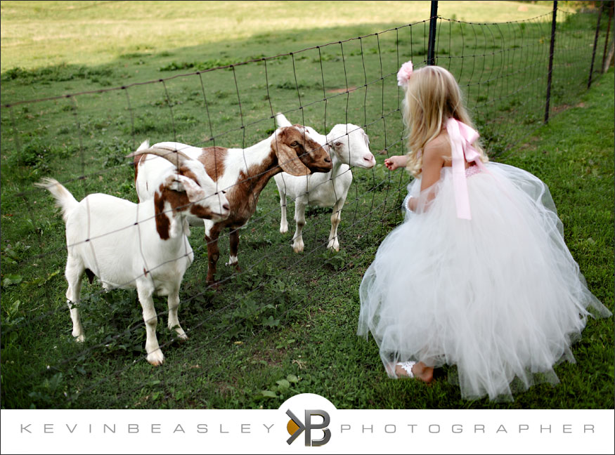 2144,Chattanooga-Tennessee-wedding-photogarpher,Barn-at-High-Point-Farms,Flintstone,Georgia,farm-weddings