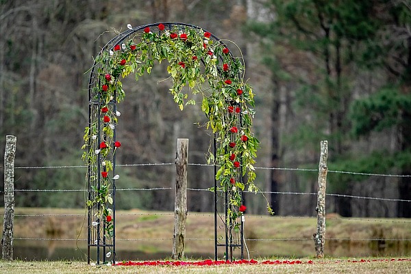 Carson & Daisha Proposal 2024